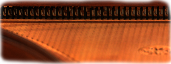 Das Cembalo des Barockorchesters amici musici